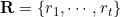 \mathbf{R}=\left\{r_{1}, \cdots, r_{t}\right\}