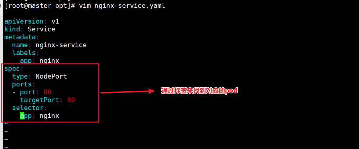 image-20221003162152691