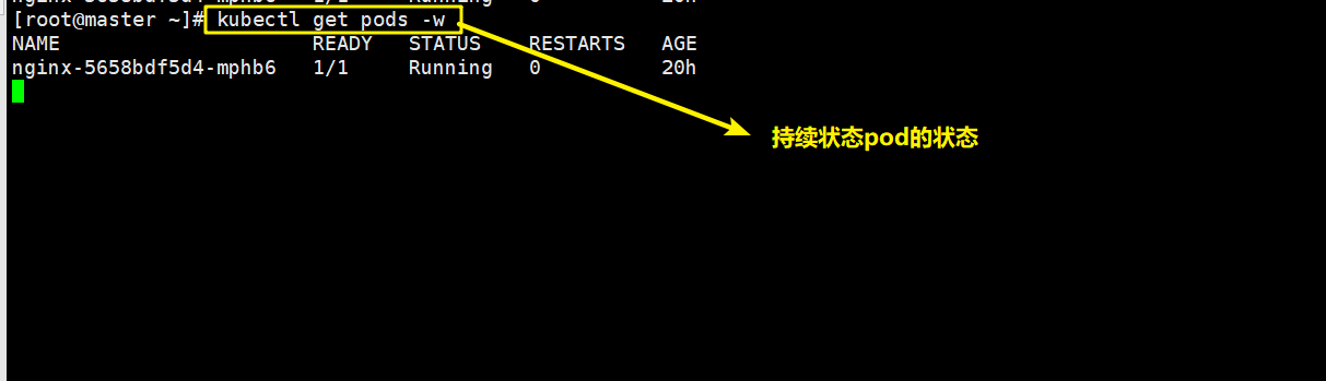 image-20220929120454872