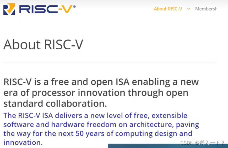 RISC-V 究竟是什么