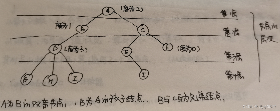 二叉树