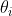\theta_{i}