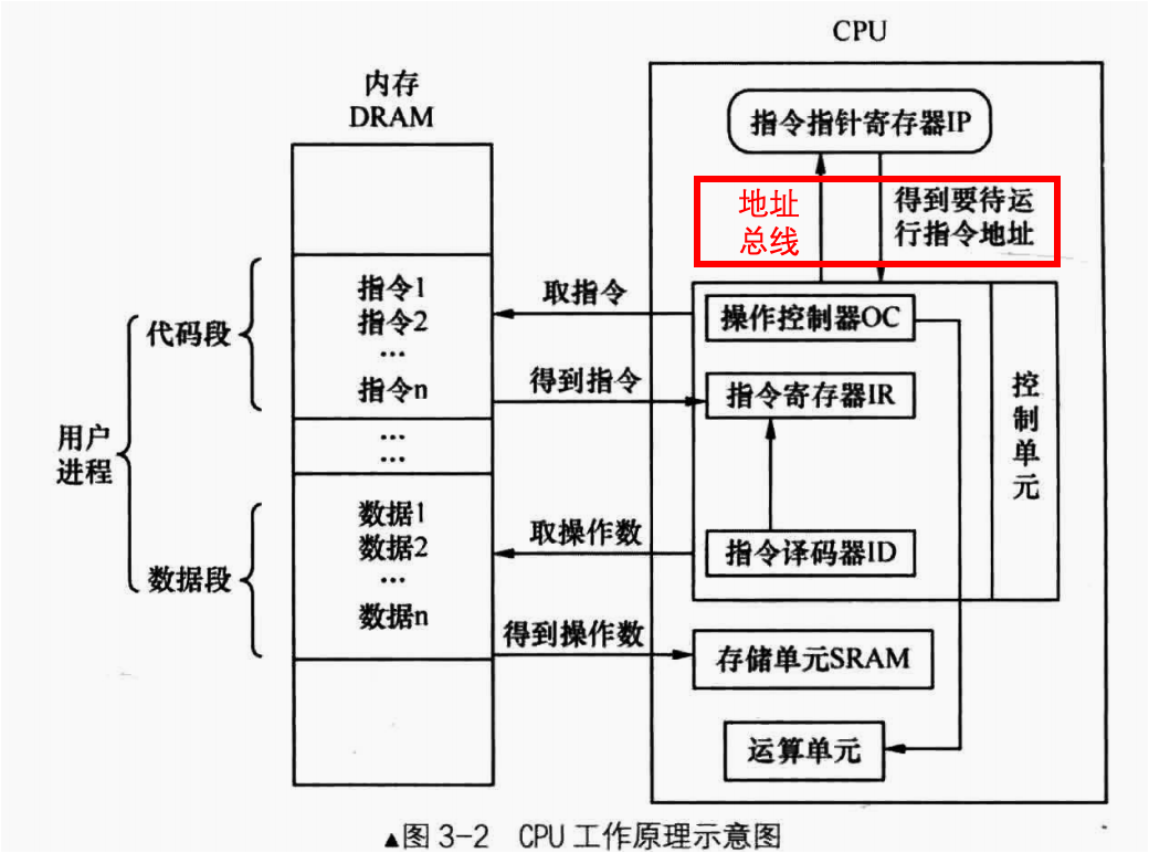 地址总线