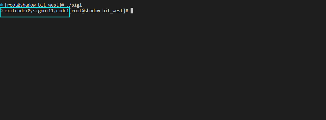 image-20221107205459245