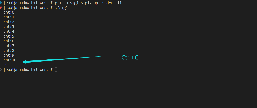 image-20221107104609206