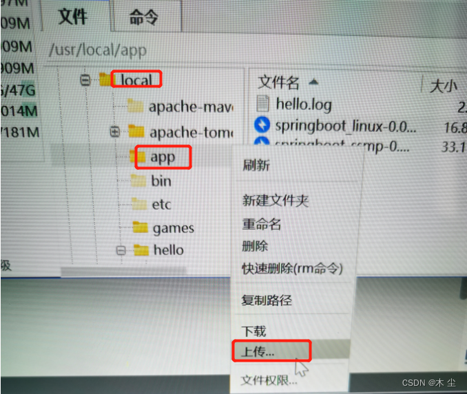 在这里插入图片描述