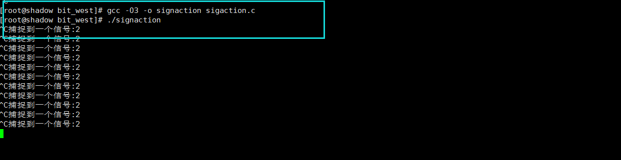 image-20221109005704520