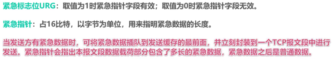 image-20221203205314311