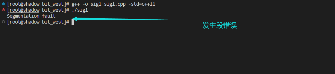 image-20221107203355907