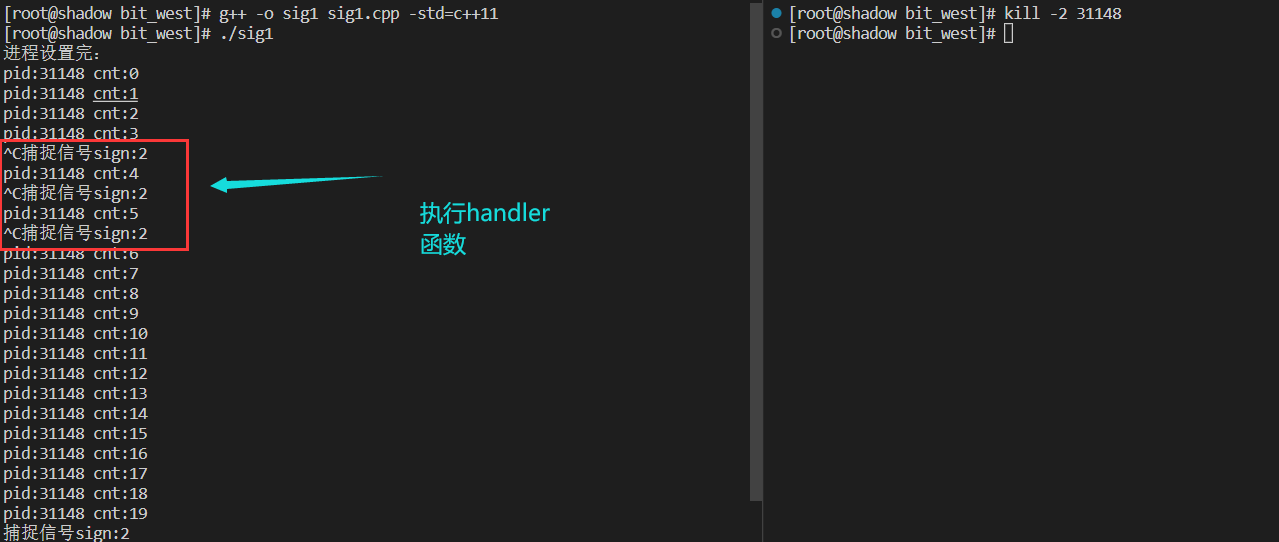 image-20221107114304422