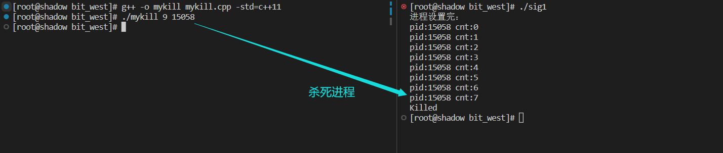 image-20221107125032895