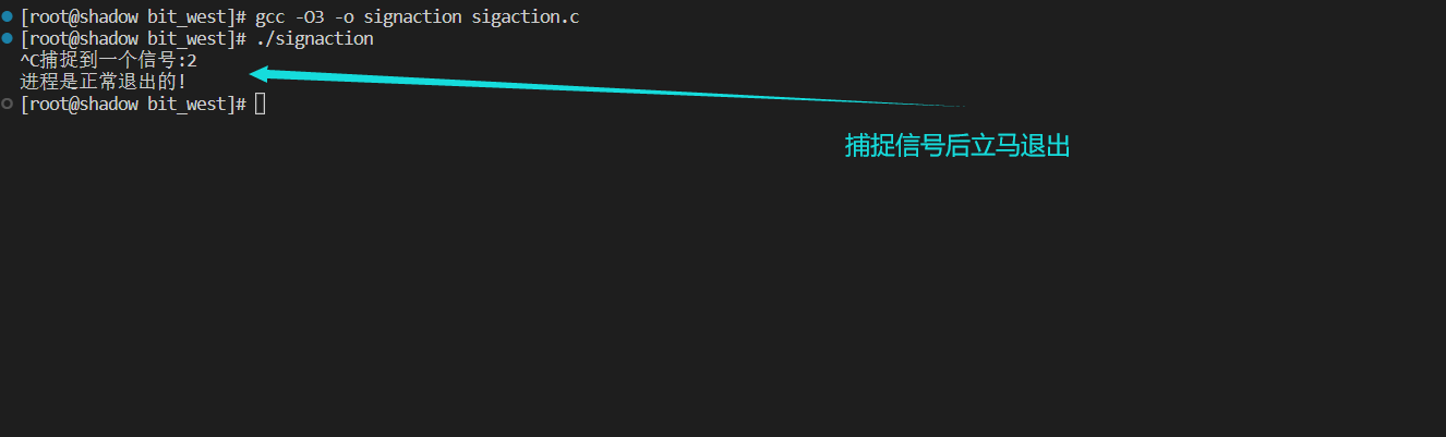 image-20221109010011357