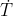\dot{T}