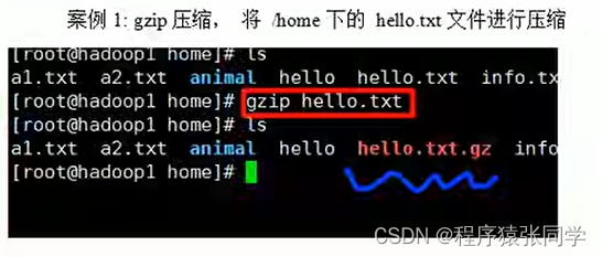 在这里插入图片描述