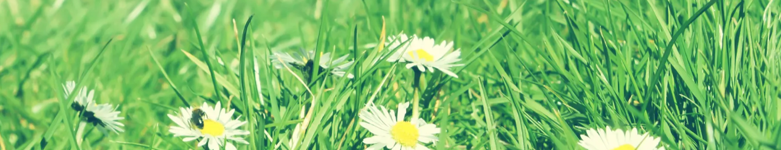 image-20221008182958877