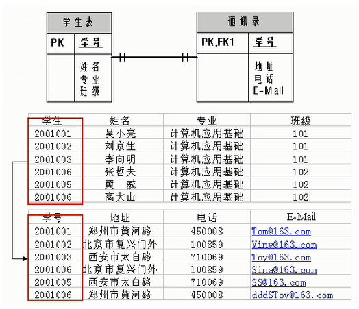 image-20230211184903794