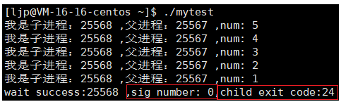 image-20230118220728630