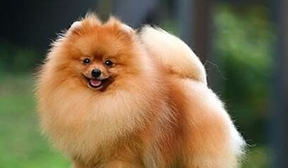 1654694956734896.jpg c2cec3fdfc0392456d00d2f88b94a4c27c1e258b.jpg