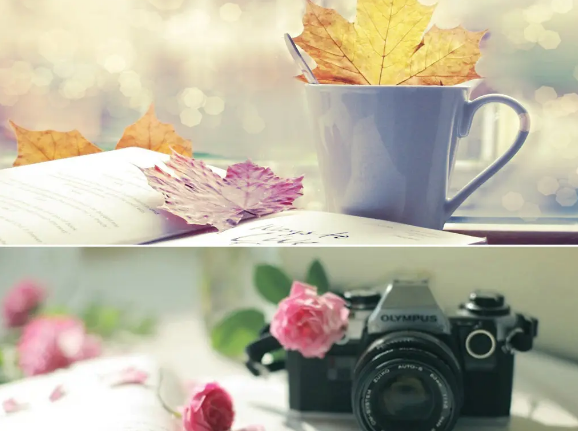 1656767947241175.png QQ图片20220702211854.png