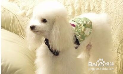 1654695045959088.jpg f2deb48f8c5494ee72b23cee21f5e0fe98257eb0.jpg