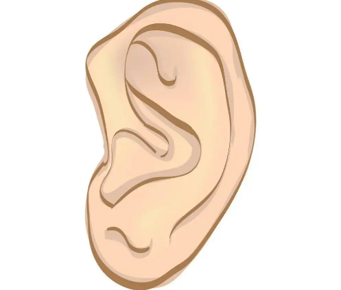 1661133368748110.png 0000.png