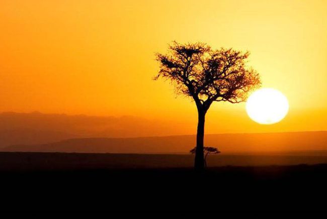 恭喜了 生来就是上等命格的星座,天生招财,福多命好,一生美满 水瓶座 双子座 金牛座 网易订阅