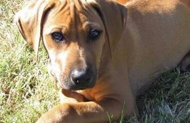 1654695096249473.jpg 6c224f4a20a44623202796959422720e0df3d753.jpg