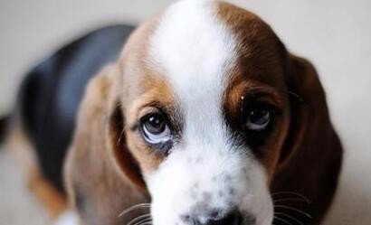 1654694975403136.jpg 6159252dd42a2834755805fc57b5c9ea14cebf4e.jpg