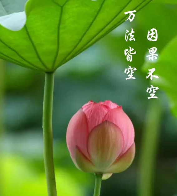 1663647403339104.png 44.png