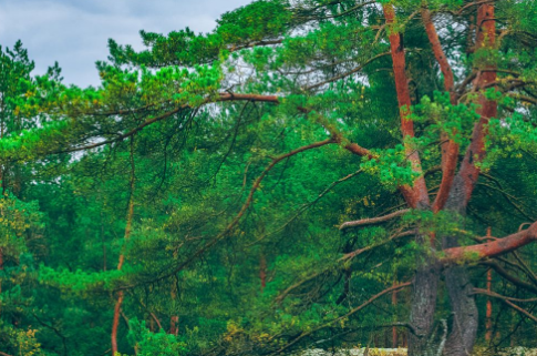 1658715770100496.png QQ图片20220725102154.png