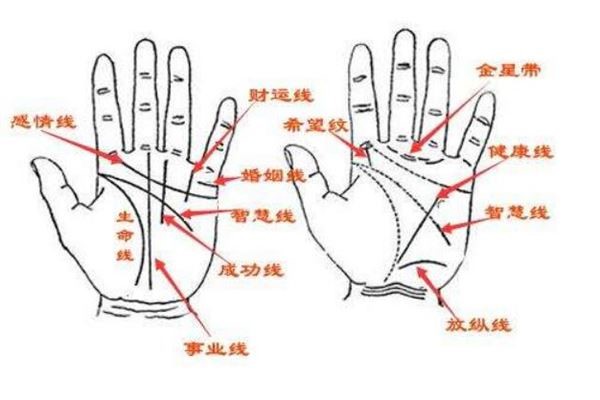 1658717533310909.jpg 5645.jpg