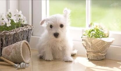 1654695018646300.jpg 6c224f4a20a44623203496959422720e0df3d74e.jpg