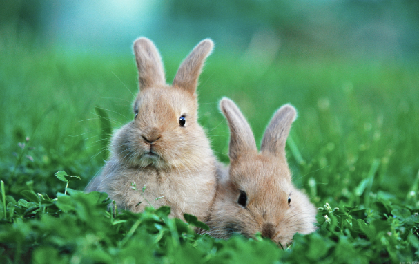 1660961734932090.png QQ图片20220820101518.png