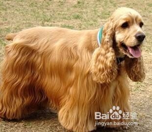 1654695077253633.jpg 83025aafa40f4bfb1b65ada30f4f78f0f636188b.jpg