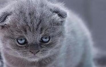 1654695131399161.jpg 21a4462309f79052b3e174c900f3d7ca7acbd54e.jpg