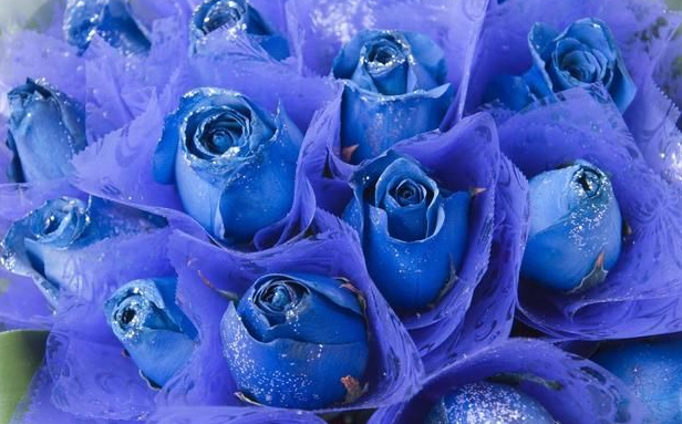 1657362384492346.png QQ图片20220709182557.png