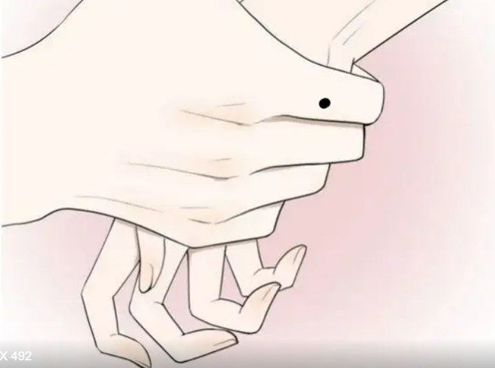 456666666666666.png