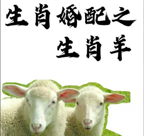 1659084751270660.png 3122222222222222.png