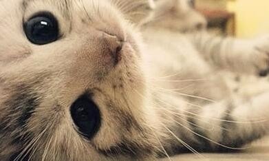 1654695005329293.jpg 63d9f2d3572c11dfbf2f8cd46f2762d0f603c24e.jpg