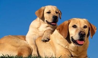 1654695109887151.jpg a9d3fd1f4134970a93c623d899cad1c8a6865d8b.jpg