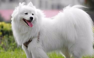 1654695033575704.jpg e850352ac65c10381ceefd35be119313b17e89b0.jpg