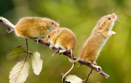 1665211746531990.png QQ图片20221008144754.png