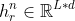 h_r^n \in \mathbb{R}^{L*d}