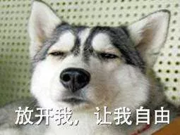 羞羞羞 姨妈巾和卫生棉条的正确讲解